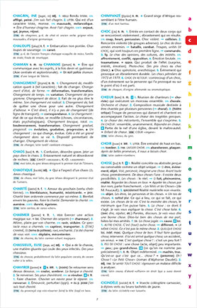 Intérieur Mini-Dico Le Robert