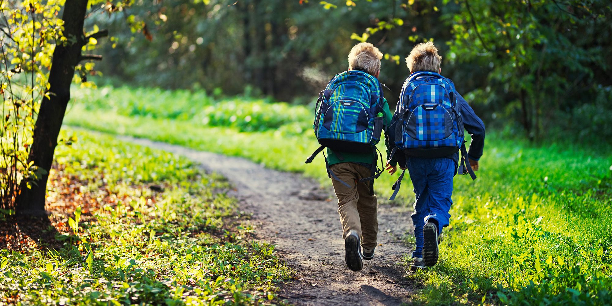 Faire l'école buissonnière Faire l'école buissonnière