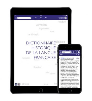 Dictionnaire Historique de la langue française