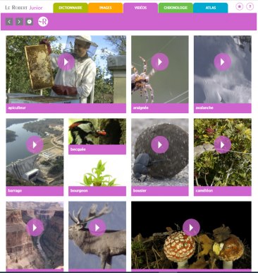 Capture 5