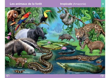 planche-amazonie