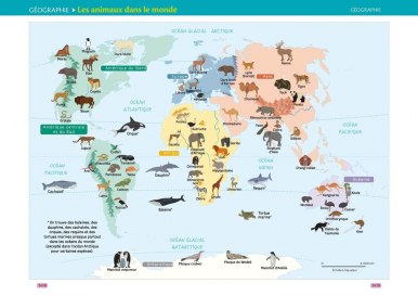 Carte des animaux
