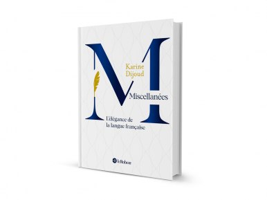 Miscellanées ; Karine Dijoud ; 3D ;