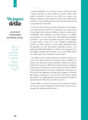 Un joyeux drille