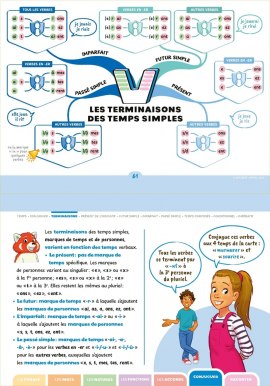 Conjuguer