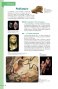 Page intérieur 4