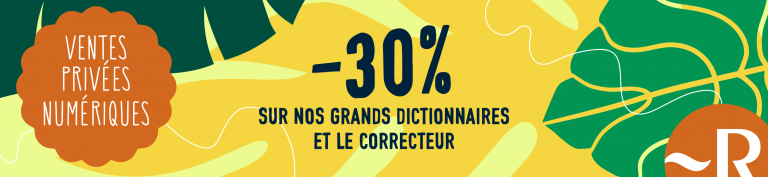 Vente privée Le Robert numérique