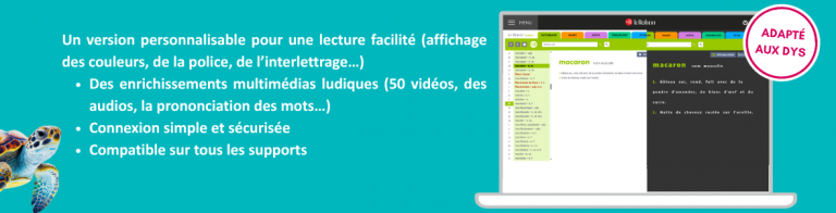 dictionnaire_en_ligne_2.png